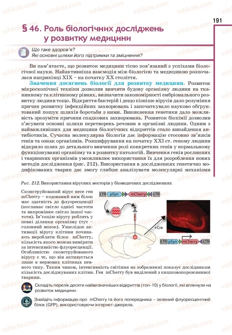 Страница 191 | Підручник Біологія 11 клас О.А. Андерсон, М.А. Вихренко, А.О. Чернінський, С.М. Міюс 2019