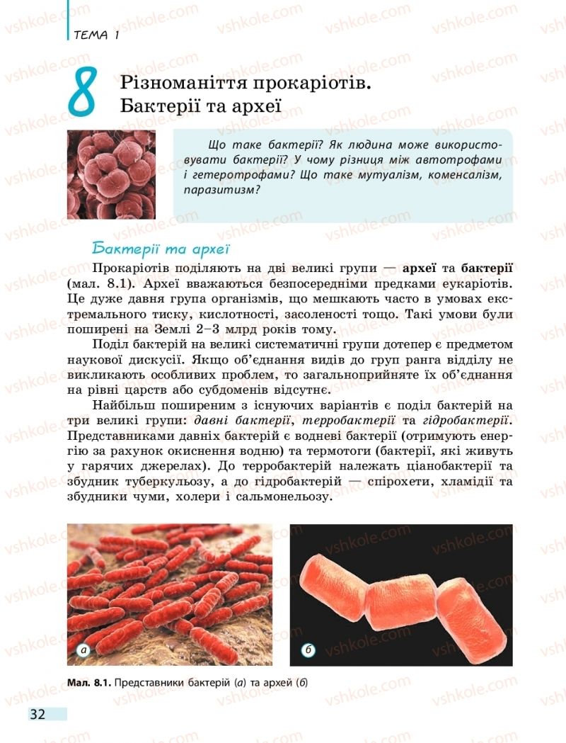 Страница 32 | Підручник Біологія 10 клас К.М. Задорожний 2018