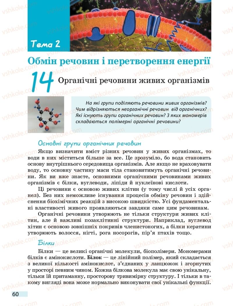 Страница 60 | Підручник Біологія 10 клас К.М. Задорожний 2018