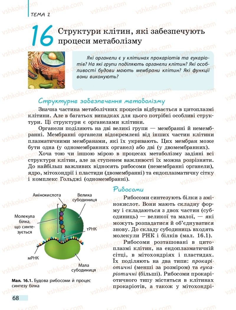 Страница 68 | Підручник Біологія 10 клас К.М. Задорожний 2018