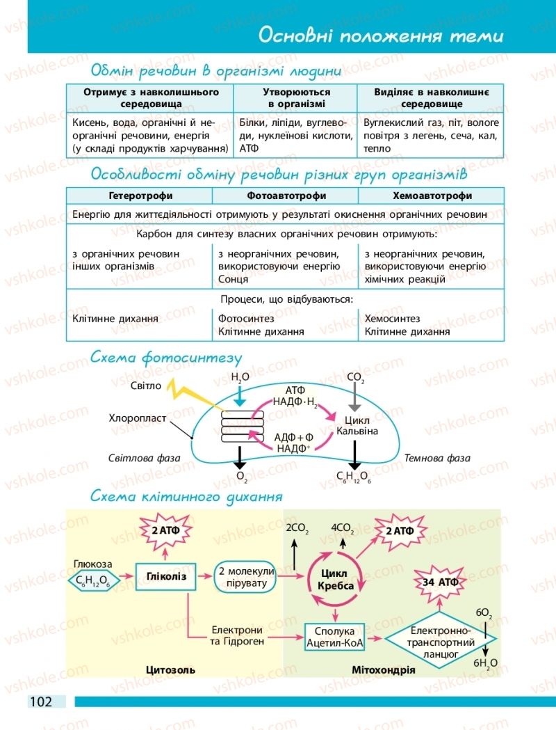 Страница 102 | Підручник Біологія 10 клас К.М. Задорожний 2018