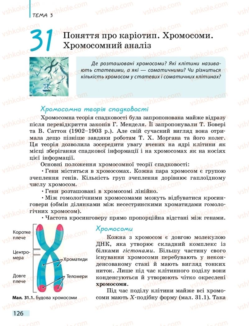 Страница 126 | Підручник Біологія 10 клас К.М. Задорожний 2018