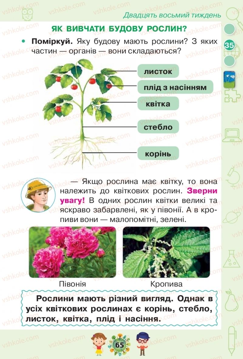 Страница 65 | Підручник Я досліджую світ 1 клас І.В. Грущинська, З.М. Хитра, І.І. Дробязко 2018 2 частина