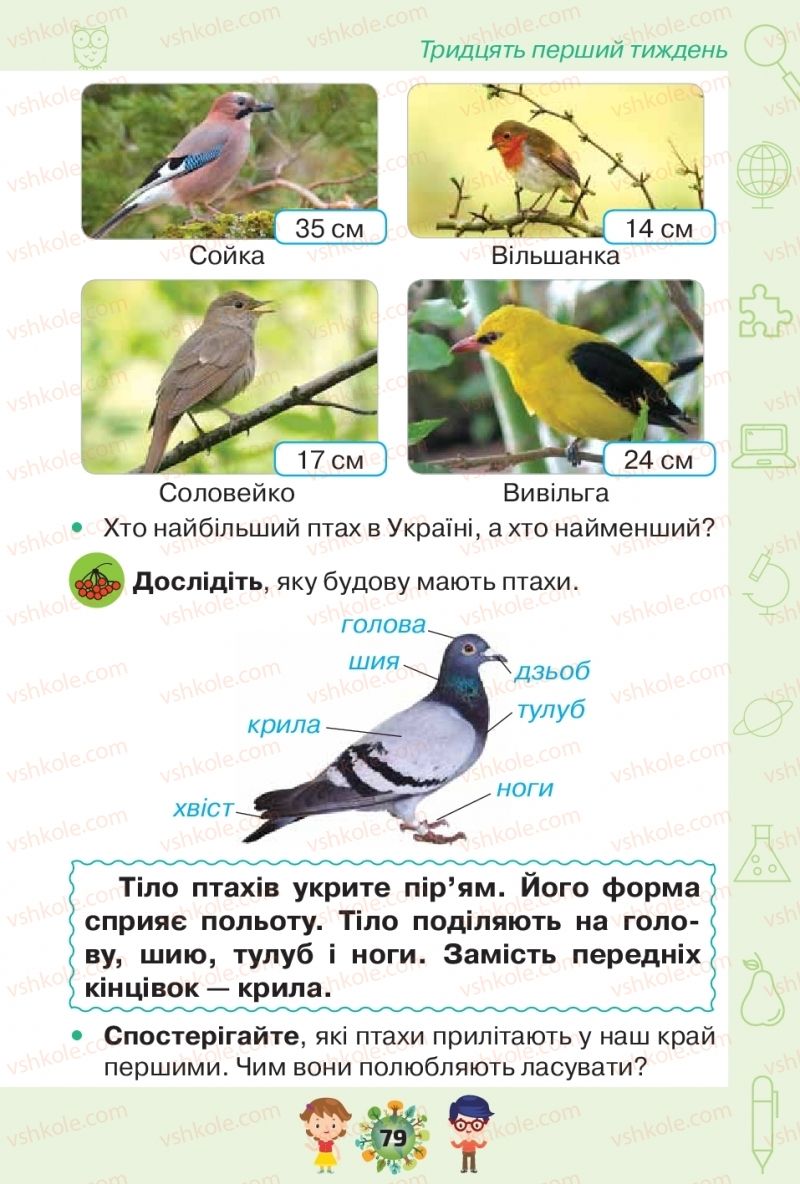 Страница 79 | Підручник Я досліджую світ 1 клас І.В. Грущинська, З.М. Хитра, І.І. Дробязко 2018 2 частина