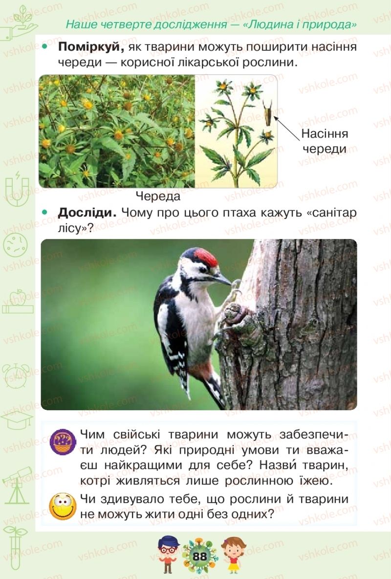 Страница 88 | Підручник Я досліджую світ 1 клас І.В. Грущинська, З.М. Хитра, І.І. Дробязко 2018 2 частина