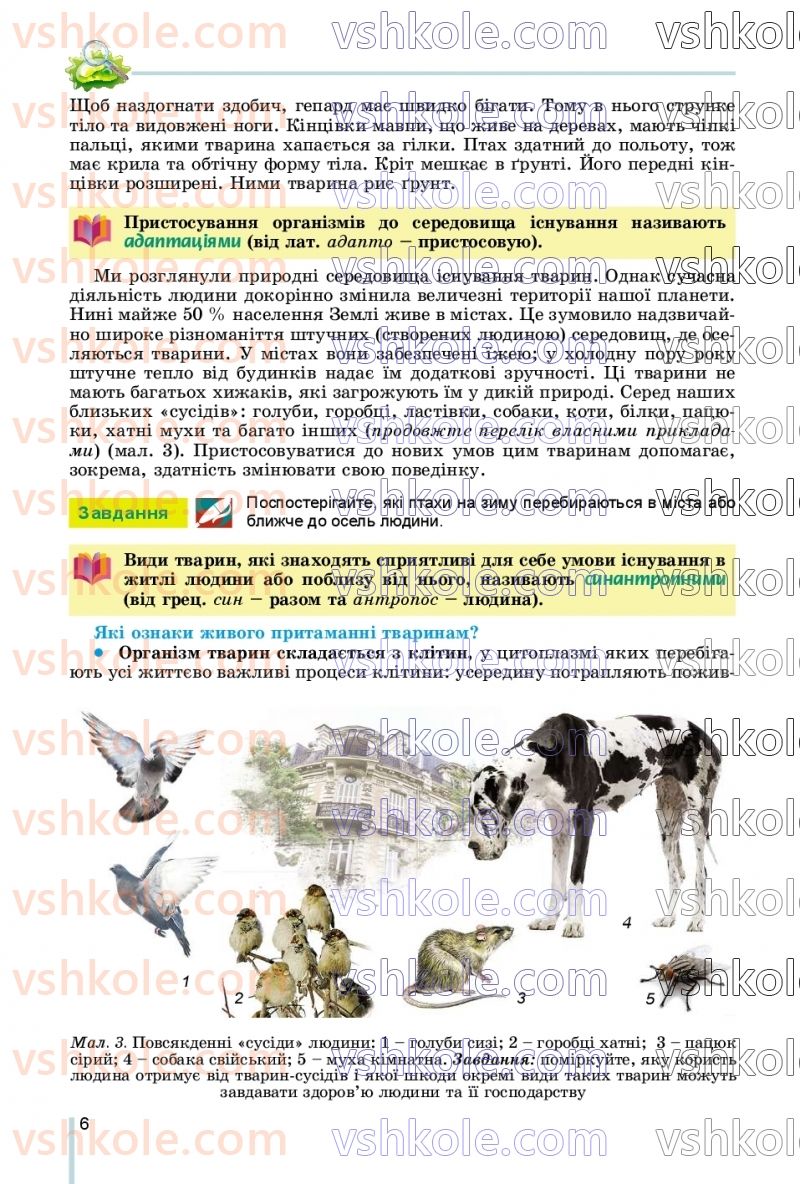 Страница 6 | Підручник Біологія 7 клас Л.І. Остапченко, П.Г. Балан, В.В. Серебряков, Н.Ю. Матяш 2020