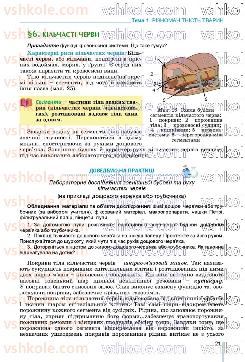 Страница 21 | Підручник Біологія 7 клас Л.І. Остапченко, П.Г. Балан, В.В. Серебряков, Н.Ю. Матяш 2020