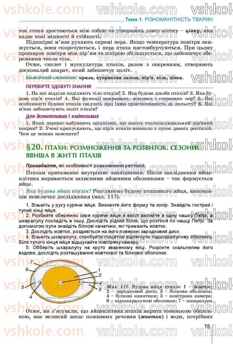 Страница 75 | Підручник Біологія 7 клас Л.І. Остапченко, П.Г. Балан, В.В. Серебряков, Н.Ю. Матяш 2020