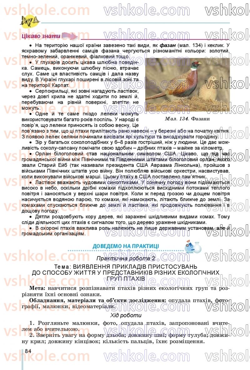 Страница 84 | Підручник Біологія 7 клас Л.І. Остапченко, П.Г. Балан, В.В. Серебряков, Н.Ю. Матяш 2020