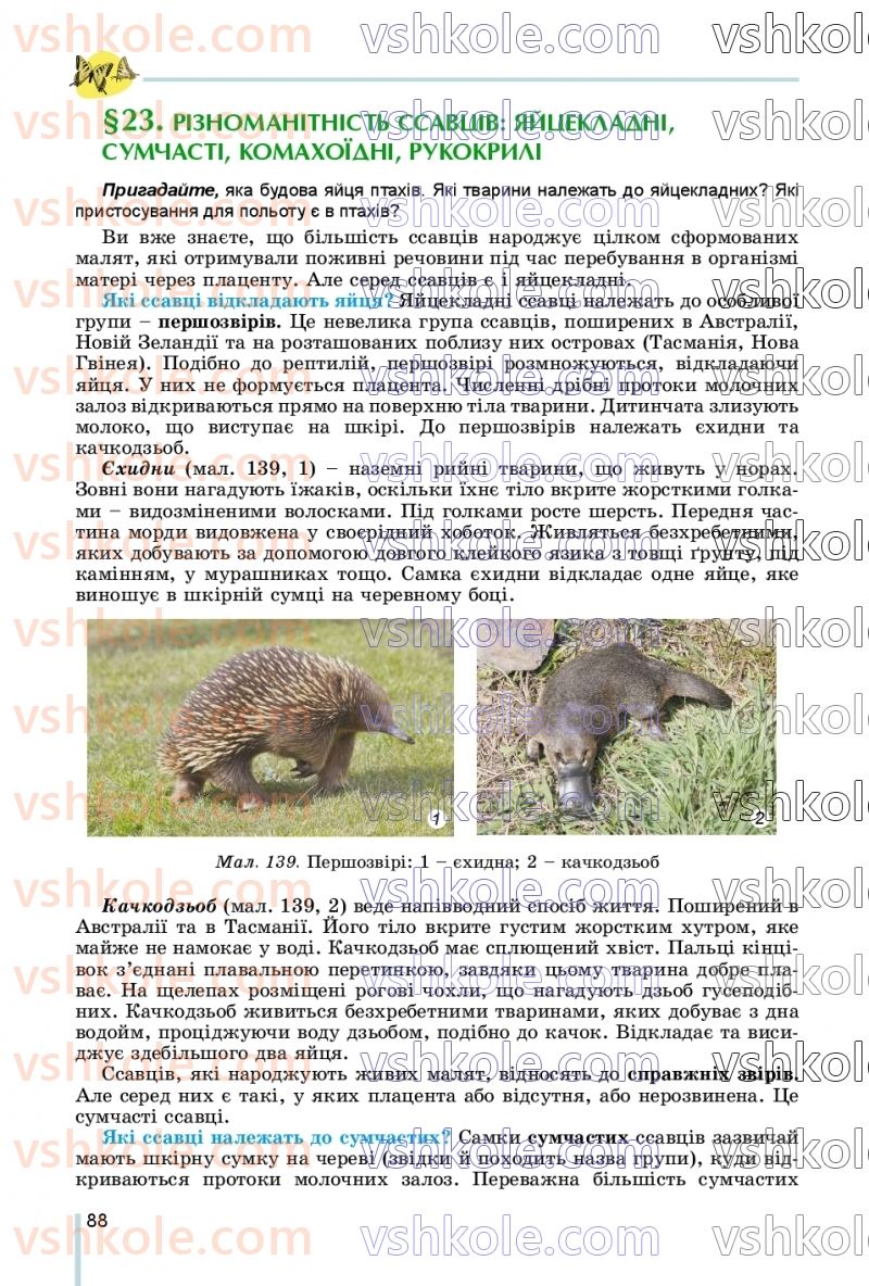 Страница 88 | Підручник Біологія 7 клас Л.І. Остапченко, П.Г. Балан, В.В. Серебряков, Н.Ю. Матяш 2020