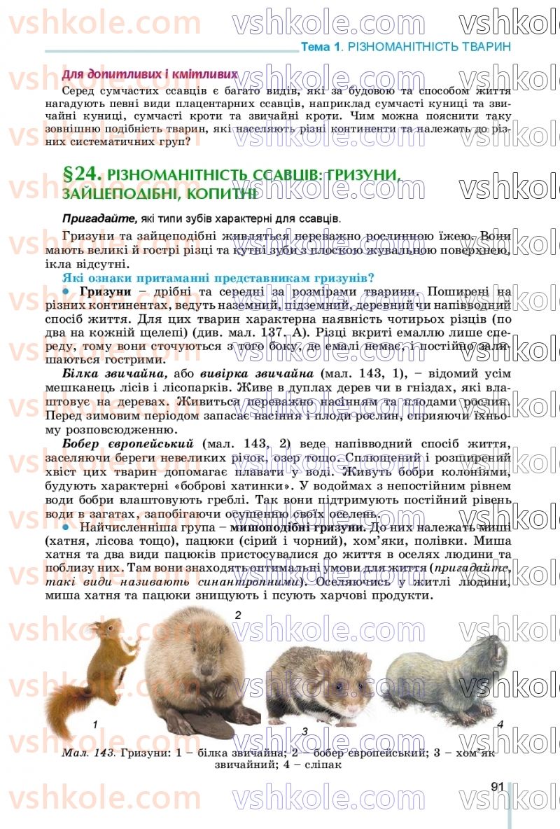 Страница 91 | Підручник Біологія 7 клас Л.І. Остапченко, П.Г. Балан, В.В. Серебряков, Н.Ю. Матяш 2020