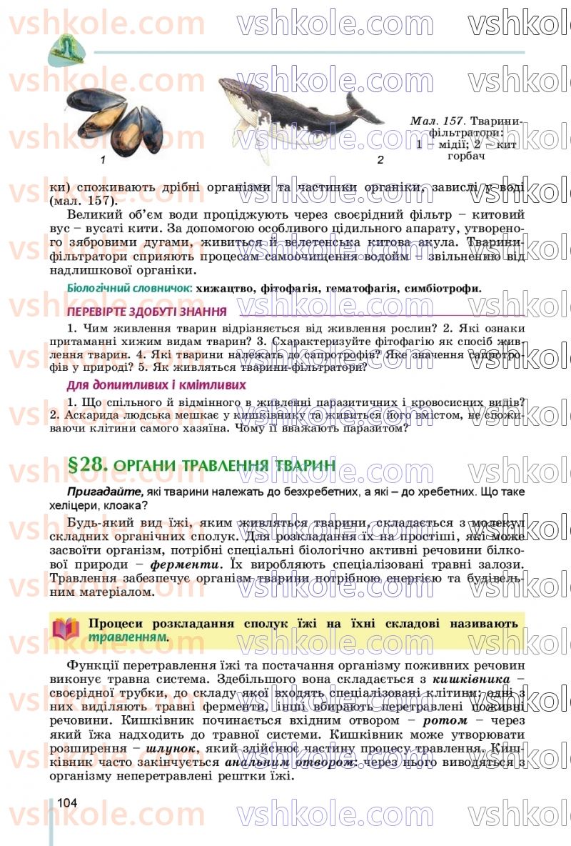 Страница 104 | Підручник Біологія 7 клас Л.І. Остапченко, П.Г. Балан, В.В. Серебряков, Н.Ю. Матяш 2020