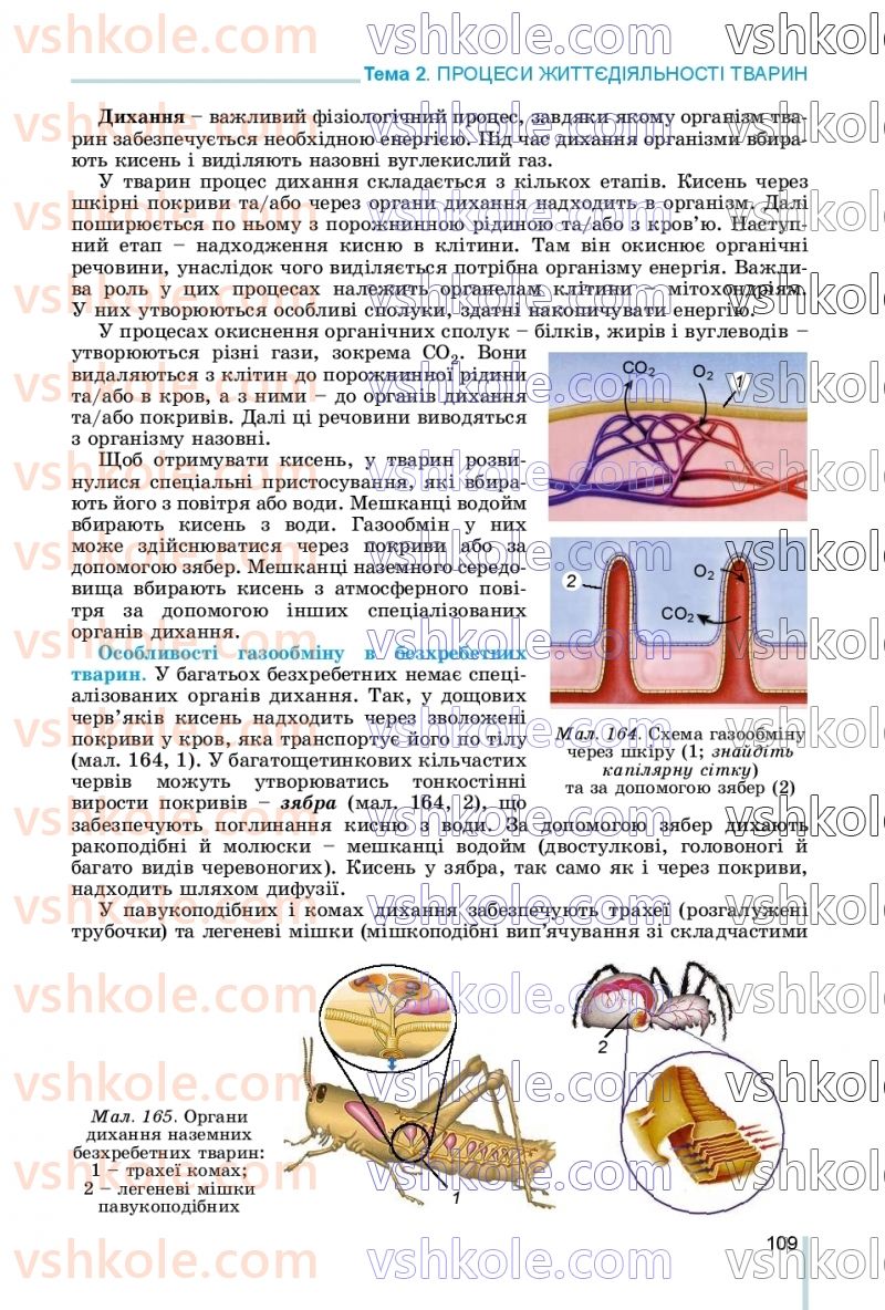 Страница 109 | Підручник Біологія 7 клас Л.І. Остапченко, П.Г. Балан, В.В. Серебряков, Н.Ю. Матяш 2020