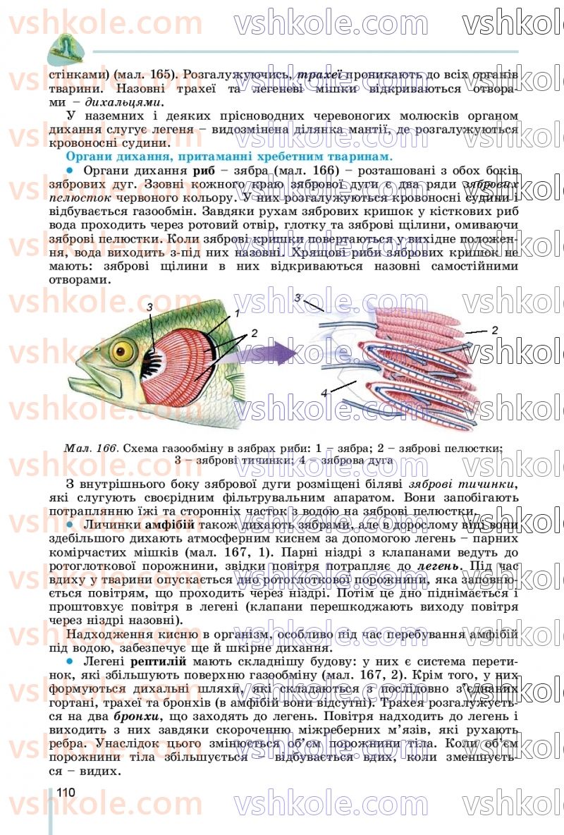 Страница 110 | Підручник Біологія 7 клас Л.І. Остапченко, П.Г. Балан, В.В. Серебряков, Н.Ю. Матяш 2020