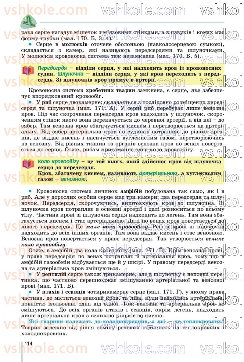 Страница 114 | Підручник Біологія 7 клас Л.І. Остапченко, П.Г. Балан, В.В. Серебряков, Н.Ю. Матяш 2020