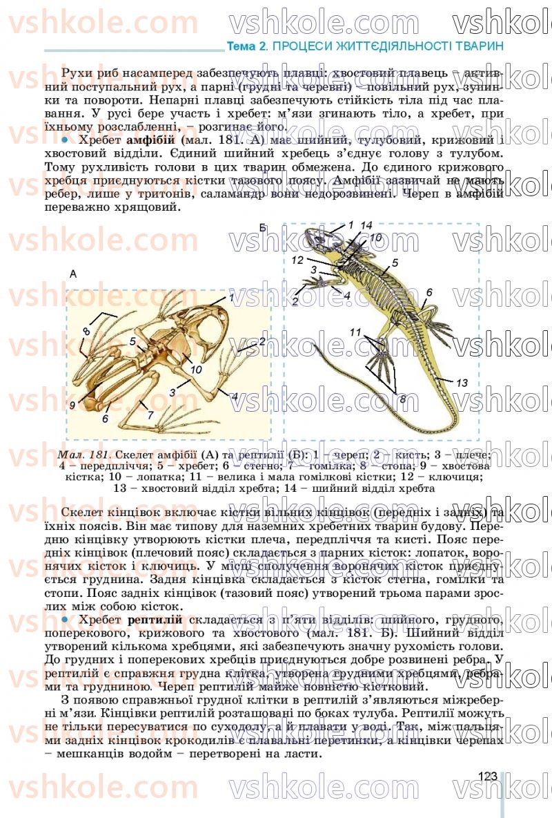 Страница 123 | Підручник Біологія 7 клас Л.І. Остапченко, П.Г. Балан, В.В. Серебряков, Н.Ю. Матяш 2020