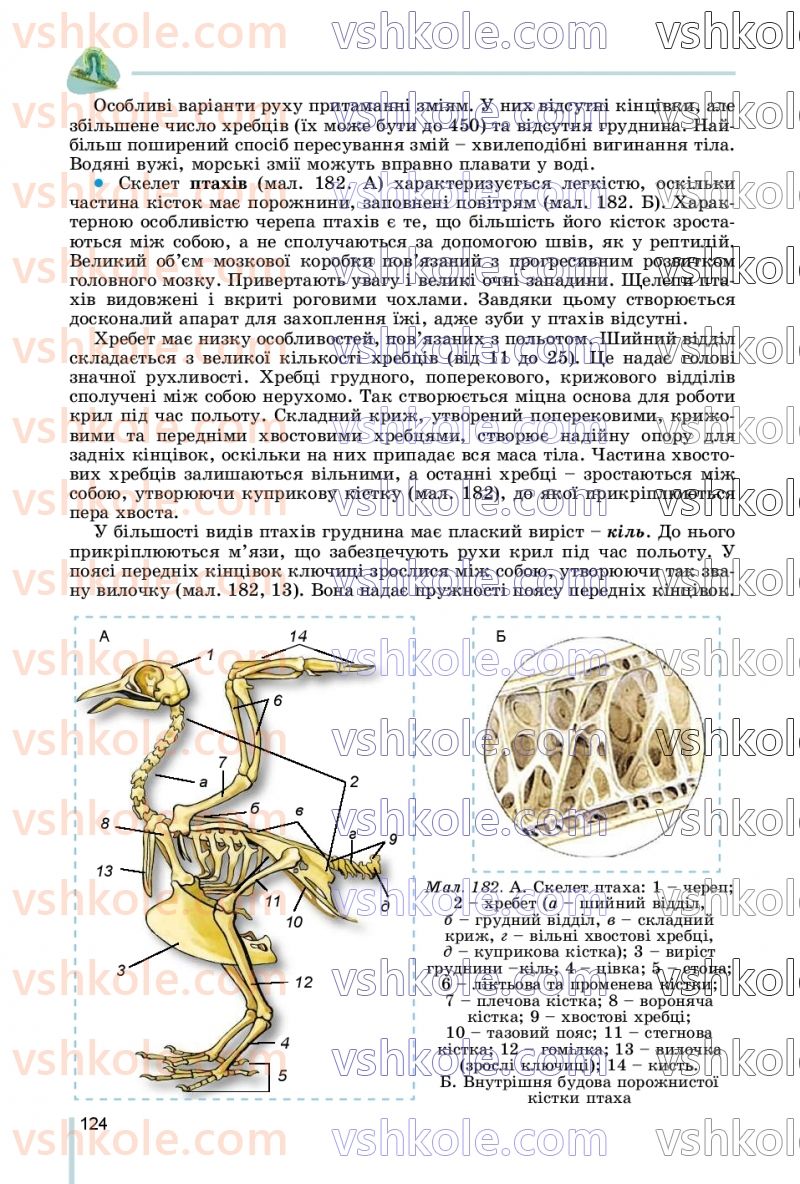 Страница 124 | Підручник Біологія 7 клас Л.І. Остапченко, П.Г. Балан, В.В. Серебряков, Н.Ю. Матяш 2020