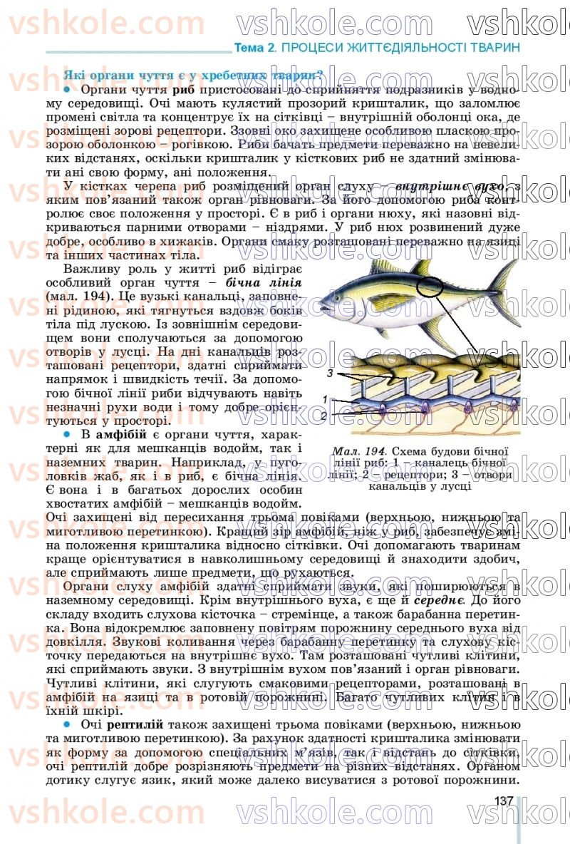 Страница 137 | Підручник Біологія 7 клас Л.І. Остапченко, П.Г. Балан, В.В. Серебряков, Н.Ю. Матяш 2020