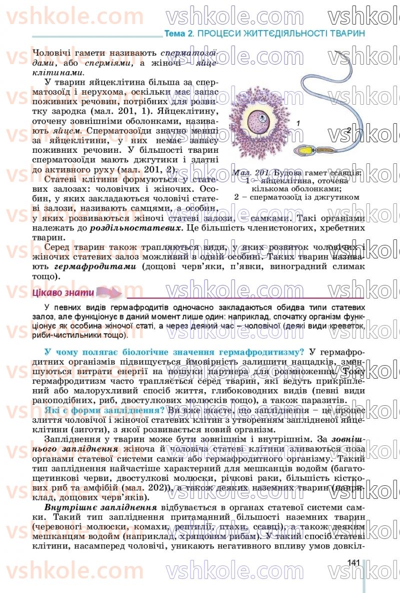 Страница 141 | Підручник Біологія 7 клас Л.І. Остапченко, П.Г. Балан, В.В. Серебряков, Н.Ю. Матяш 2020