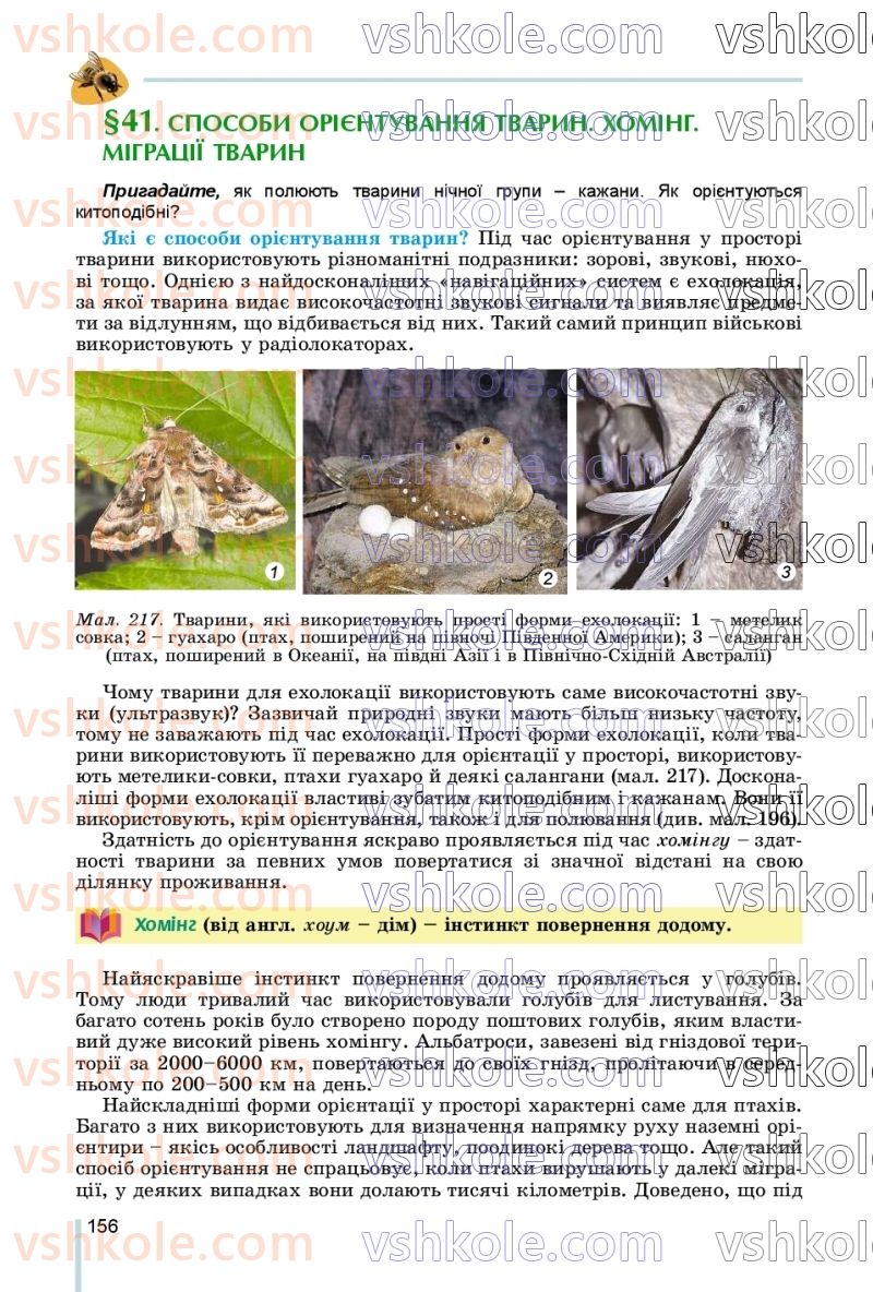 Страница 156 | Підручник Біологія 7 клас Л.І. Остапченко, П.Г. Балан, В.В. Серебряков, Н.Ю. Матяш 2020