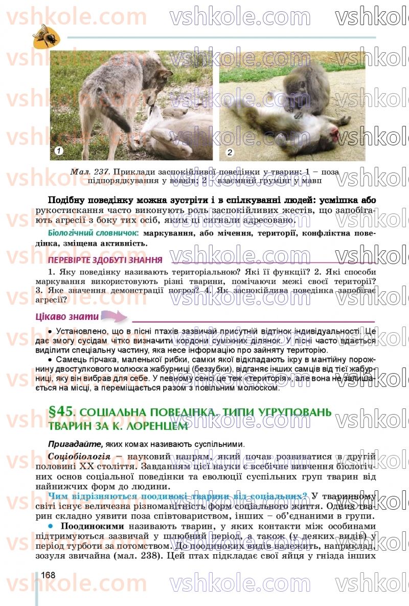 Страница 168 | Підручник Біологія 7 клас Л.І. Остапченко, П.Г. Балан, В.В. Серебряков, Н.Ю. Матяш 2020