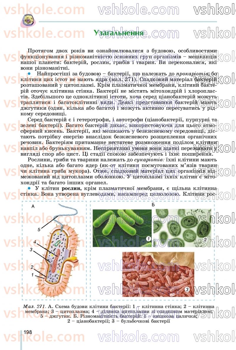 Страница 198 | Підручник Біологія 7 клас Л.І. Остапченко, П.Г. Балан, В.В. Серебряков, Н.Ю. Матяш 2020