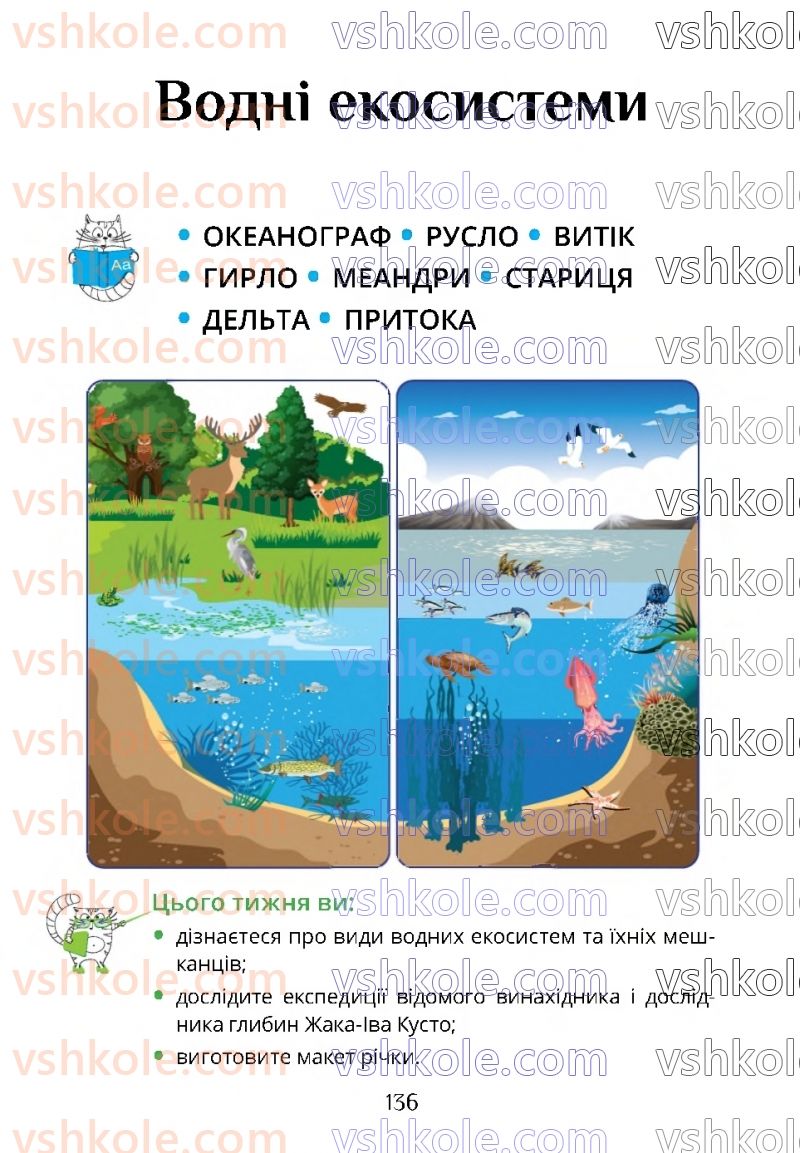 Страница 136 | Підручник Я досліджую світ 4 клас Т.В. Воронцова 2021 1 частина