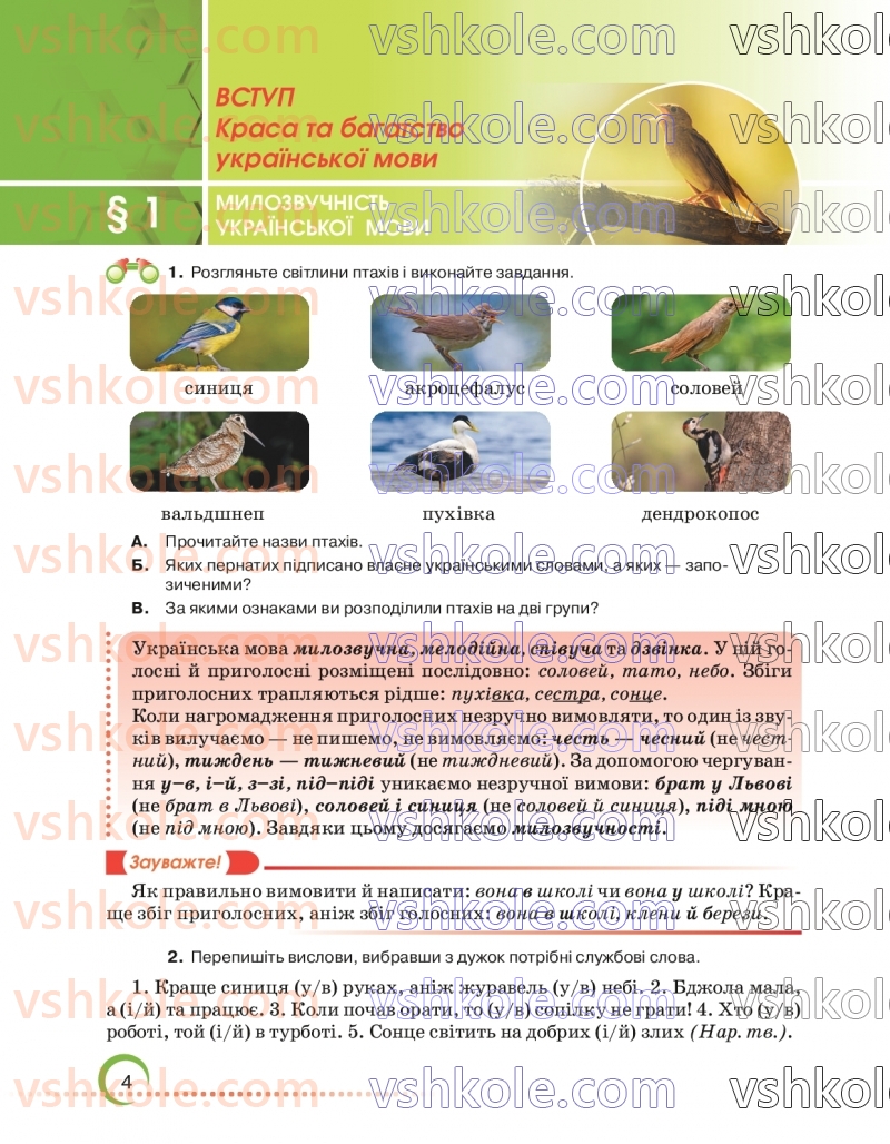 Страница 4 | Підручник Українська мова 6 клас О.М. Авраменко 2023