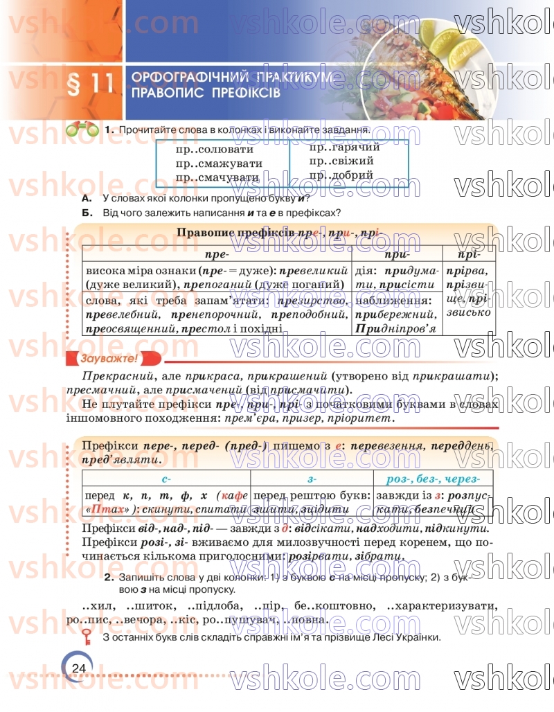 Страница 24 | Підручник Українська мова 7 клас О.М. Авраменко 2024