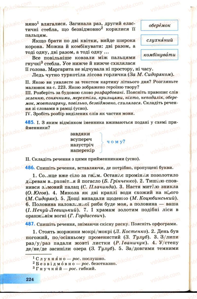 Страница 224 | Підручник Українська мова 7 клас Н.В. Бондаренко, А.В. Ярмолюк 2007