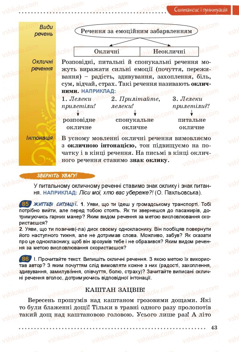 Страница 43 | Підручник Українська мова 5 клас О.В. Заболотний 2013