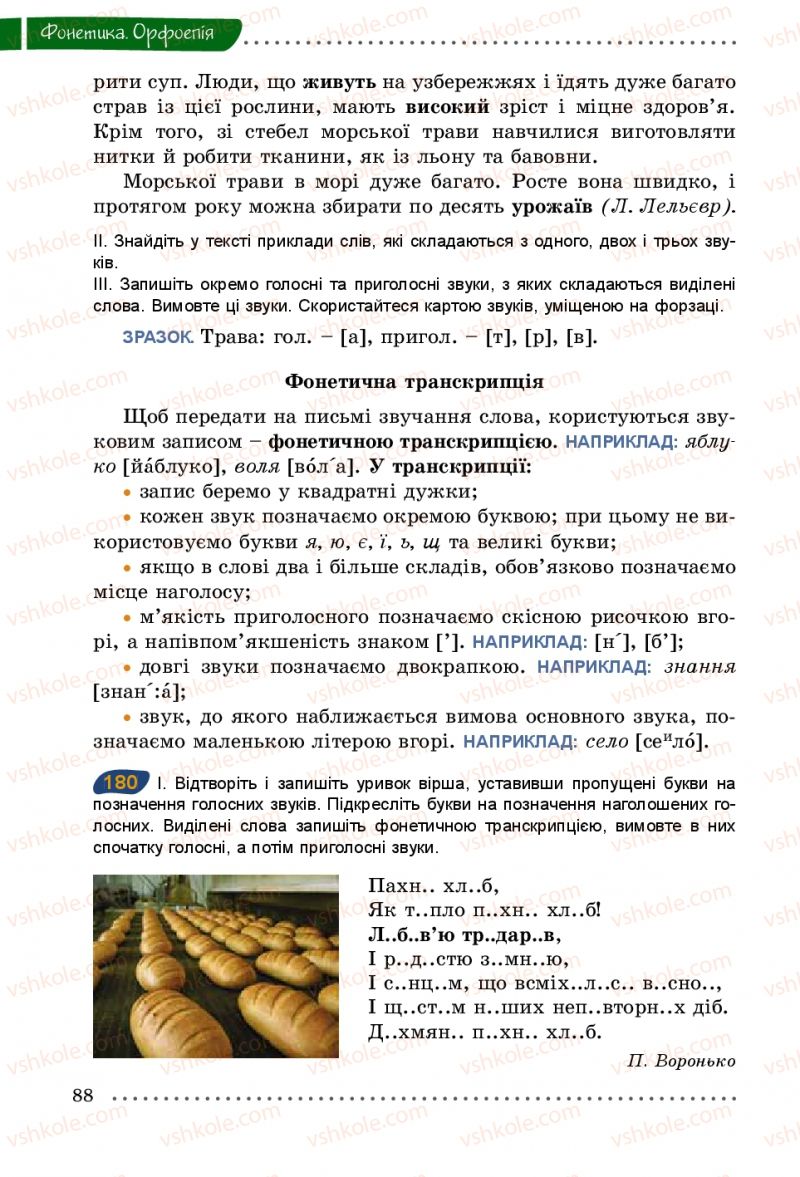 Страница 88 | Підручник Українська мова 5 клас О.В. Заболотний 2013