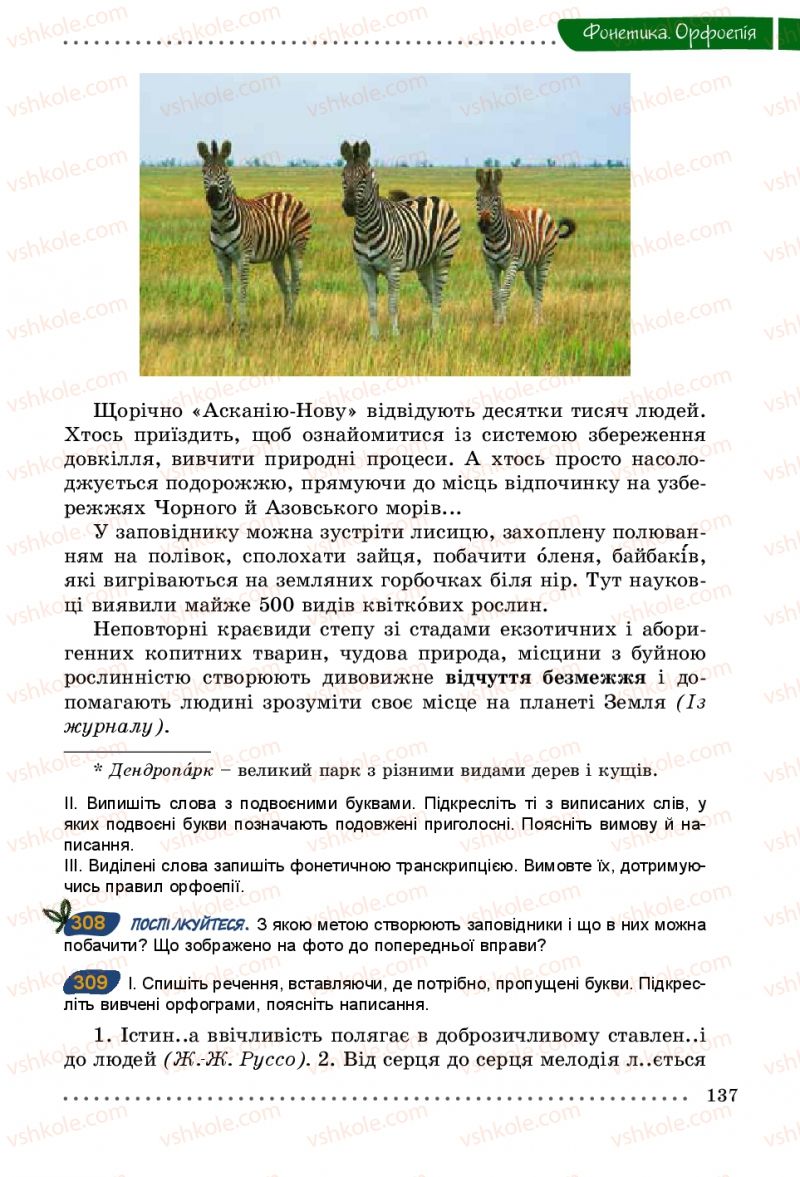 Страница 137 | Підручник Українська мова 5 клас О.В. Заболотний 2013