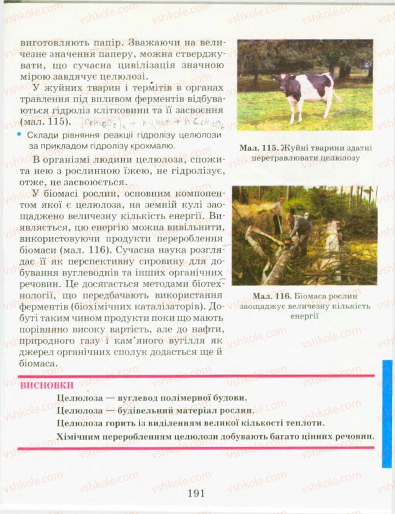 Страница 191 | Підручник Хімія 9 клас Н.М. Буринська, Л.П. Величко 2009