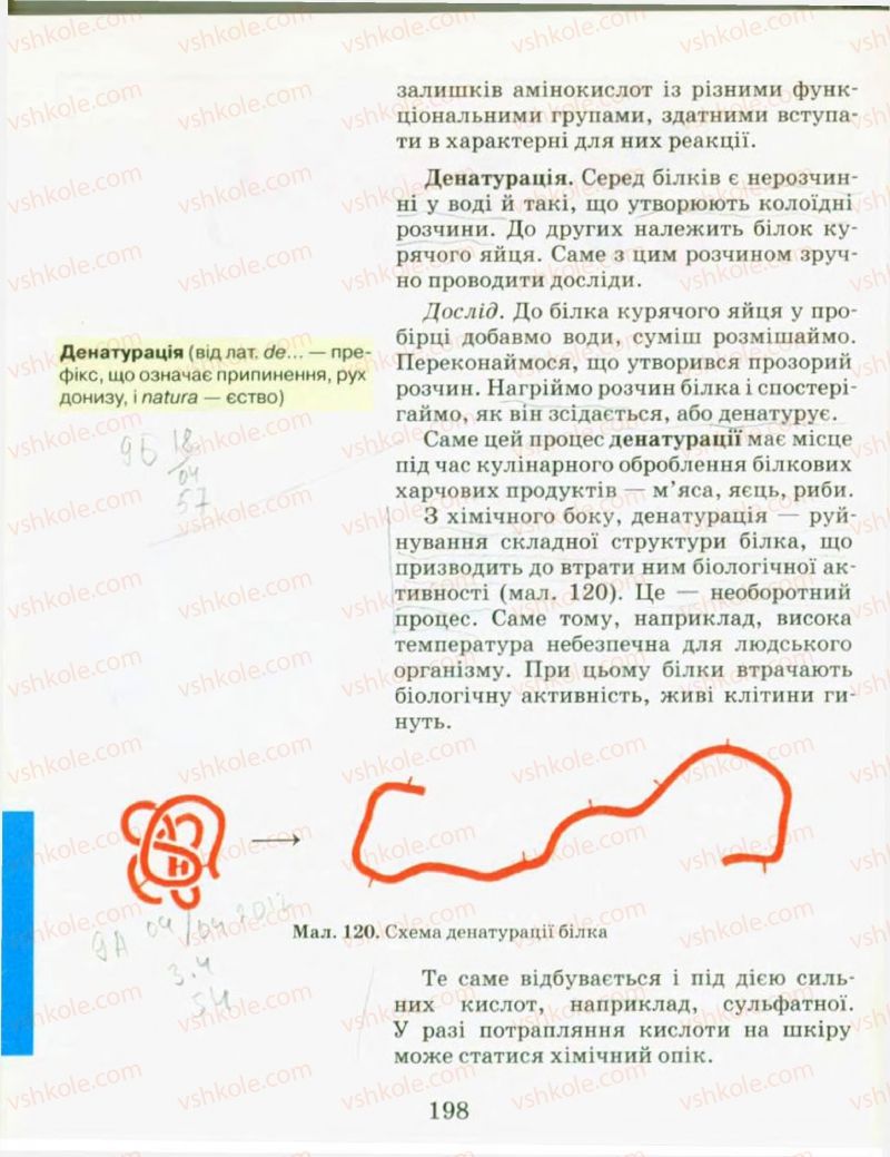 Страница 198 | Підручник Хімія 9 клас Н.М. Буринська, Л.П. Величко 2009