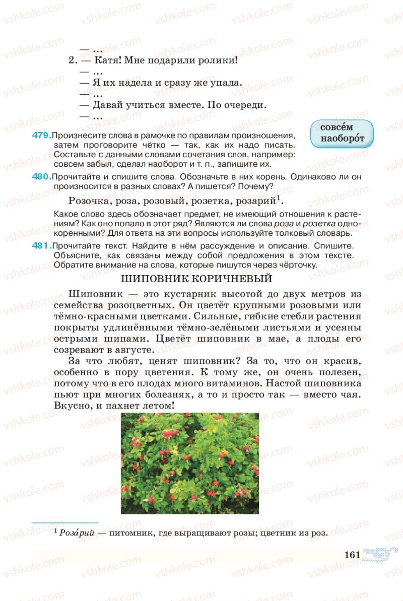 Страница 161 | Підручник Русский язык 5 клас В.А. Корсаков 2013