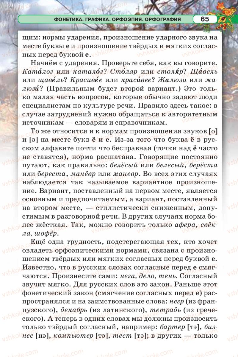 Страница 65 | Підручник Русский язык 5 клас Л.В. Давидюк 2013