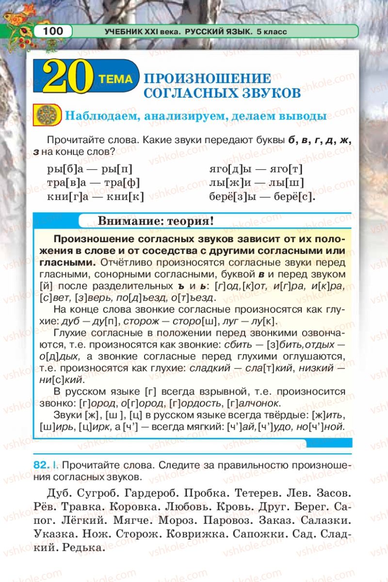 Страница 100 | Підручник Русский язык 5 клас Л.В. Давидюк 2013