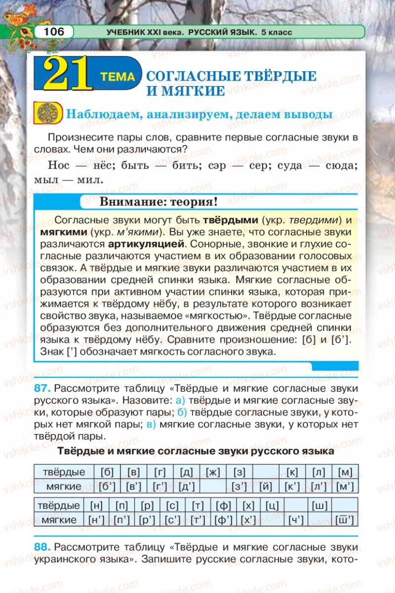 Страница 106 | Підручник Русский язык 5 клас Л.В. Давидюк 2013