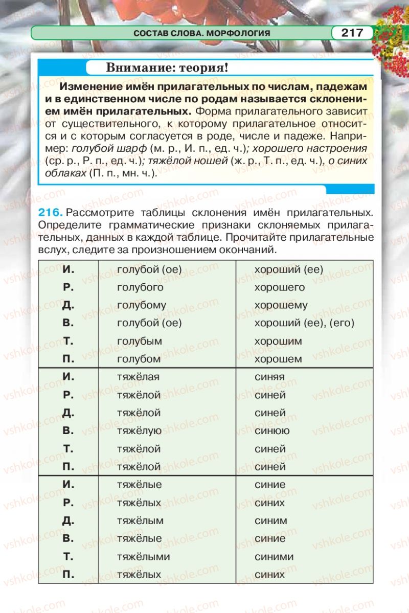 Страница 217 | Підручник Русский язык 5 клас Л.В. Давидюк 2013