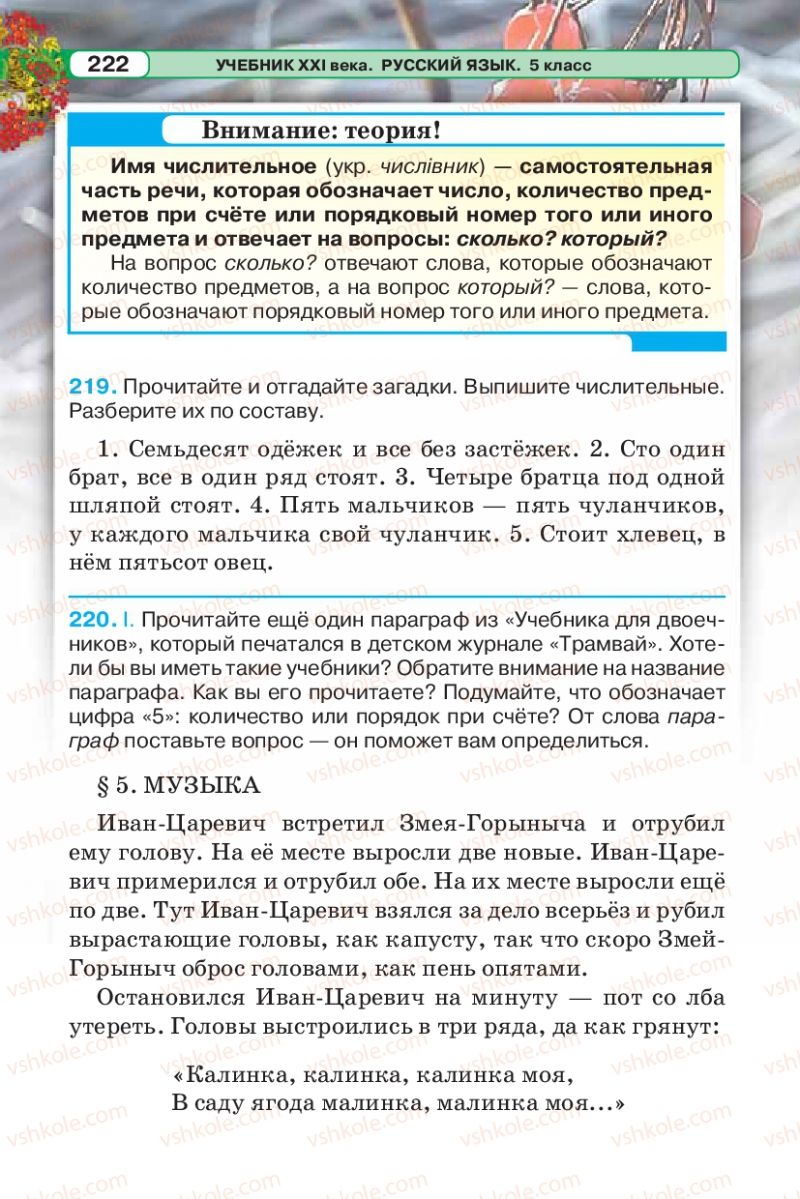 Страница 222 | Підручник Русский язык 5 клас Л.В. Давидюк 2013