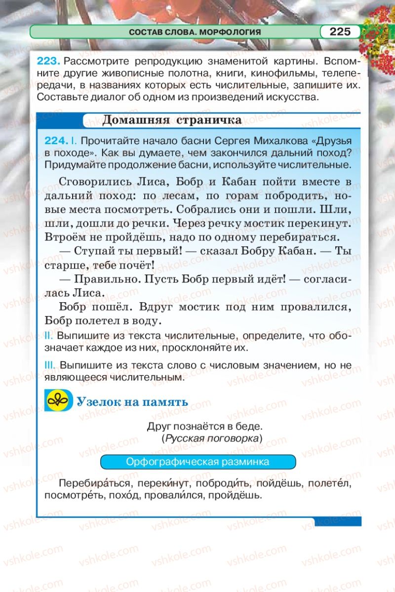Страница 225 | Підручник Русский язык 5 клас Л.В. Давидюк 2013