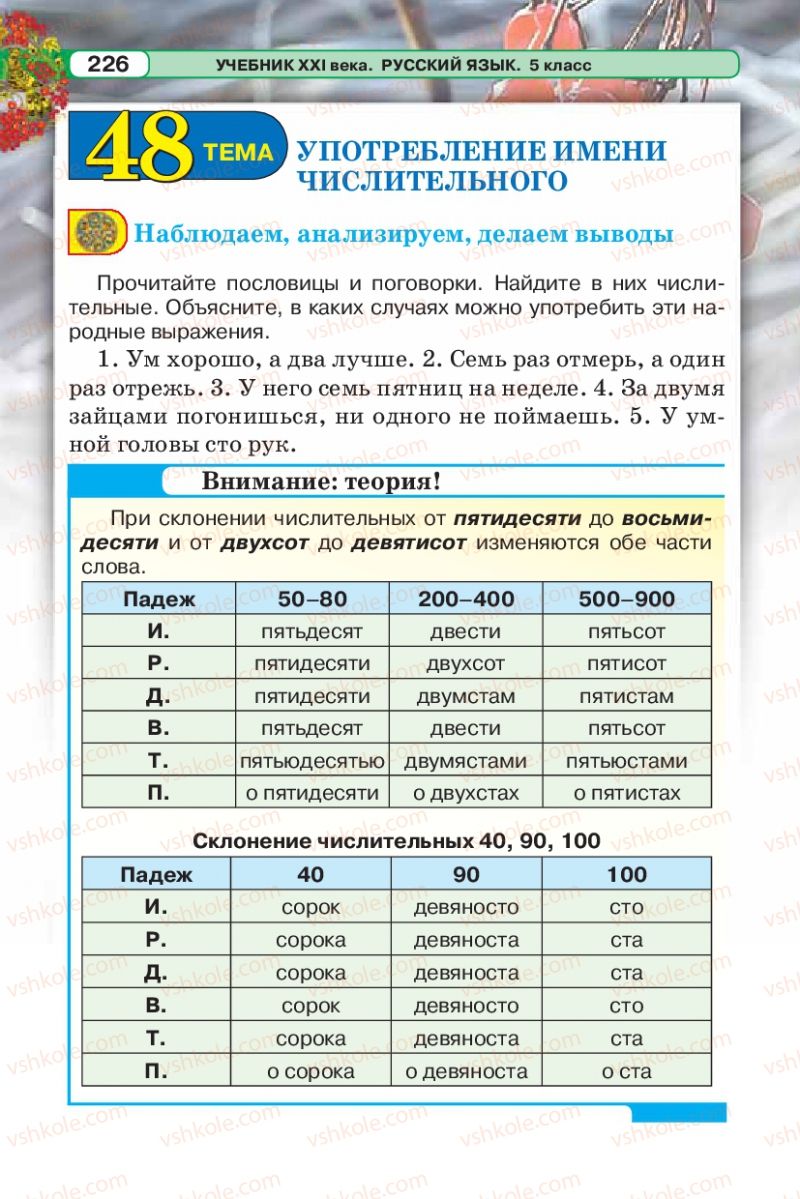 Страница 226 | Підручник Русский язык 5 клас Л.В. Давидюк 2013