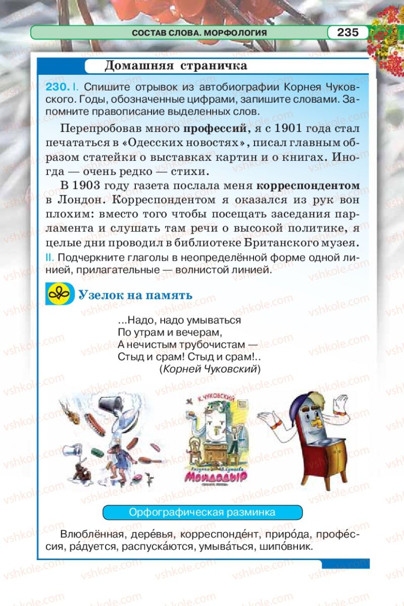 Страница 235 | Підручник Русский язык 5 клас Л.В. Давидюк 2013