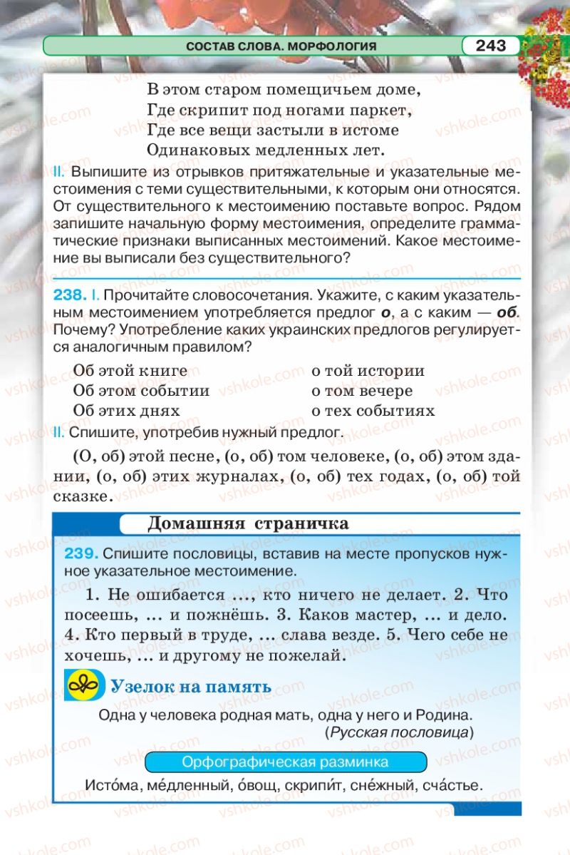 Страница 243 | Підручник Русский язык 5 клас Л.В. Давидюк 2013