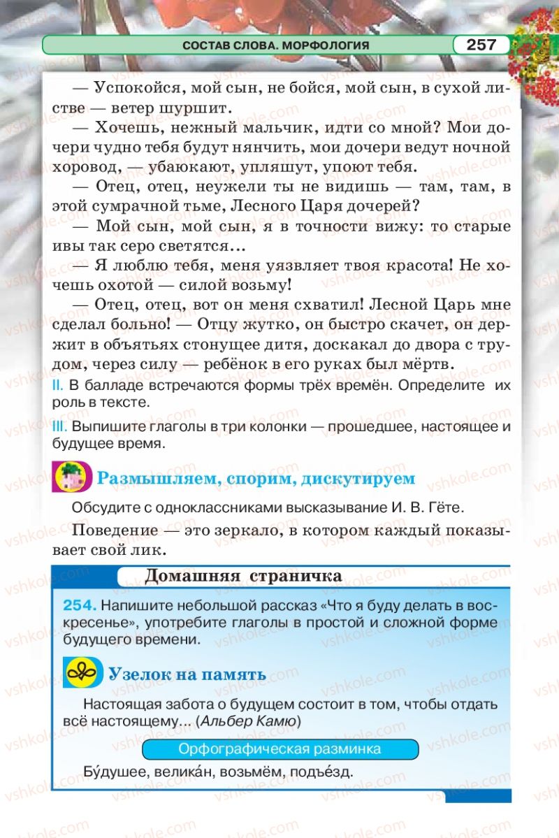 Страница 257 | Підручник Русский язык 5 клас Л.В. Давидюк 2013