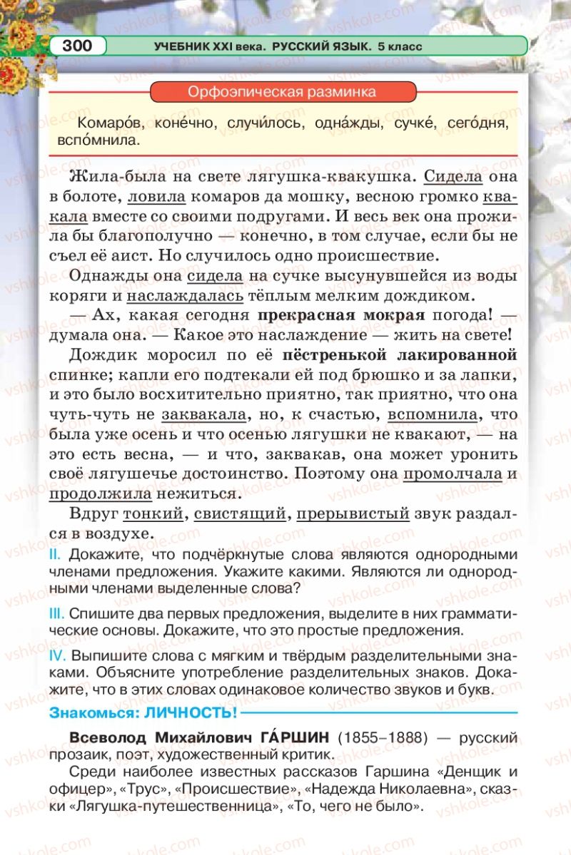Страница 300 | Підручник Русский язык 5 клас Л.В. Давидюк 2013