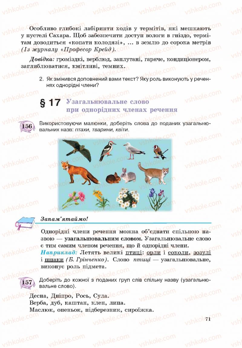 Страница 71 | Підручник Українська мова 5 клас С.Я. Єрмоленко, В.Т. Сичова 2013