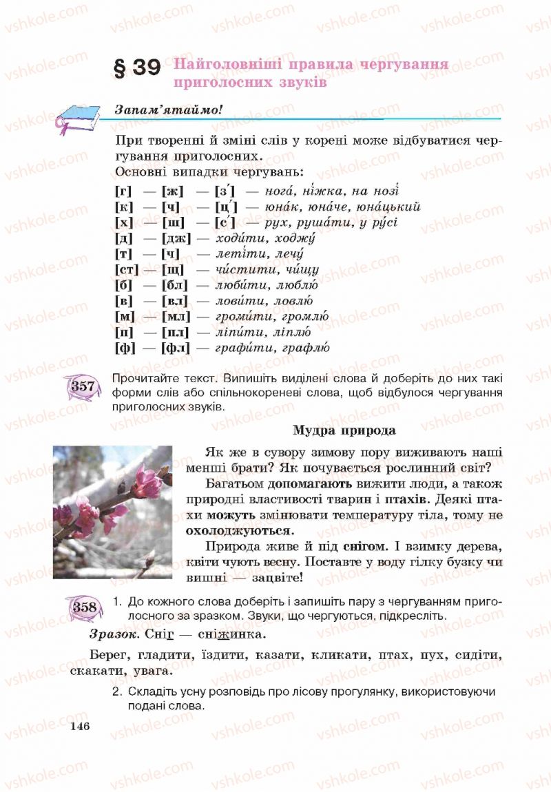 Страница 146 | Підручник Українська мова 5 клас С.Я. Єрмоленко, В.Т. Сичова 2013