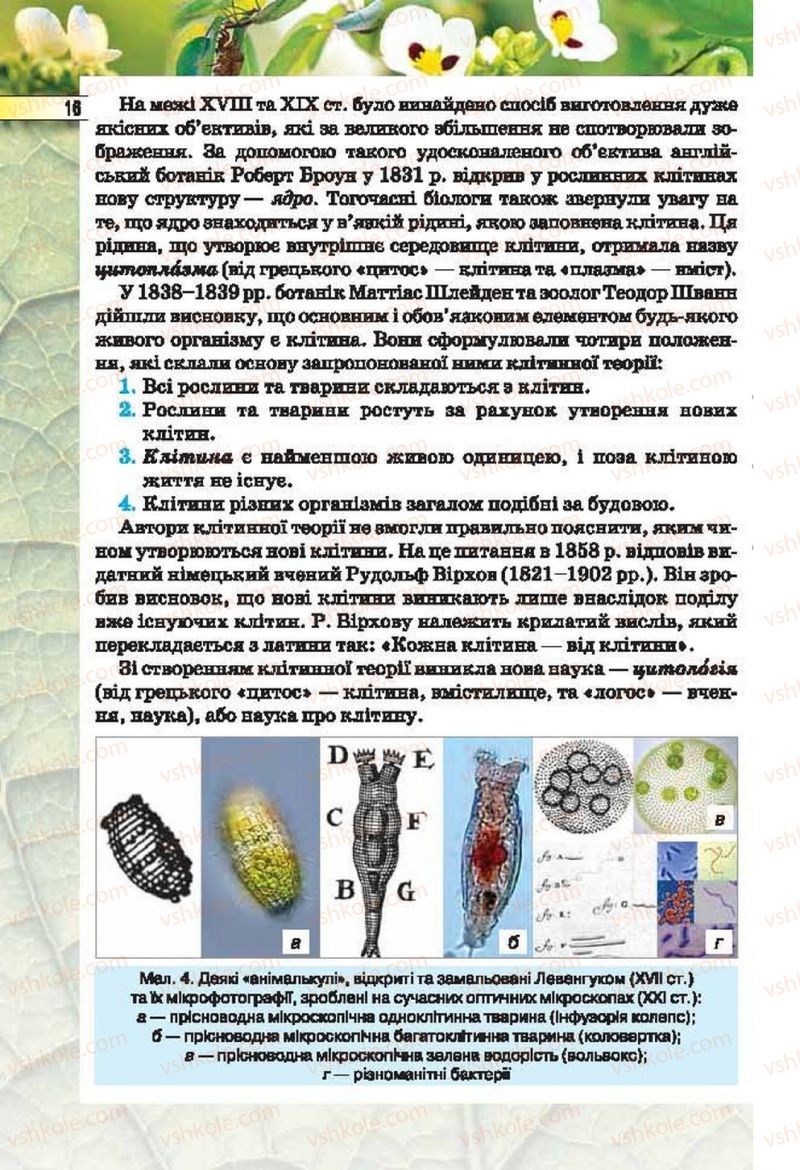 Страница 16 | Підручник Біологія 6 клас І.Ю. Костіков, С.О. Волгін, В.В. Додь 2014